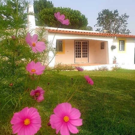 Вілла Sondela Self Catering Сан-Мартінню-ду-Порту Екстер'єр фото