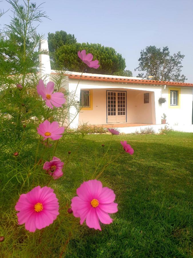 Вілла Sondela Self Catering Сан-Мартінню-ду-Порту Екстер'єр фото