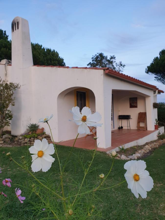 Вілла Sondela Self Catering Сан-Мартінню-ду-Порту Екстер'єр фото